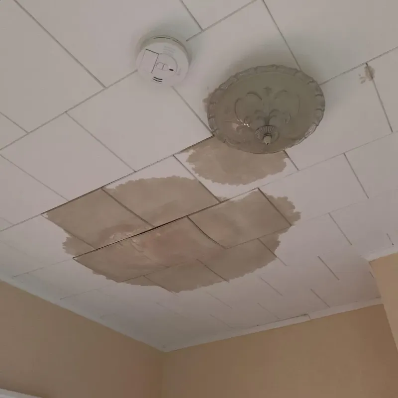Ceiling Water Damage Repair in El Dorado, AR